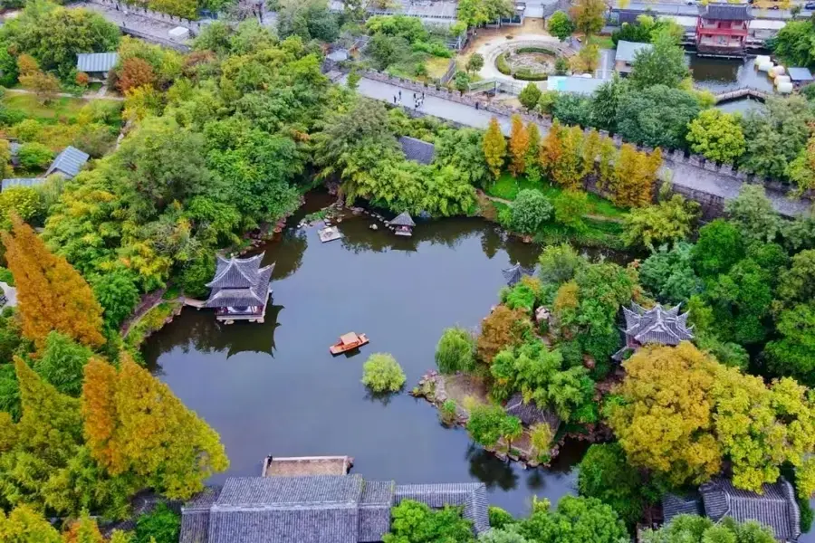 旅局官宣, 吸引了上海, 可免费游玩